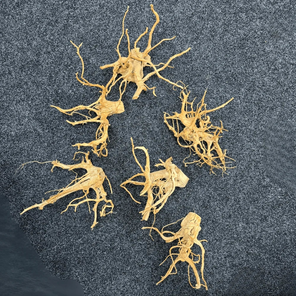 Spider Wood Per 100g