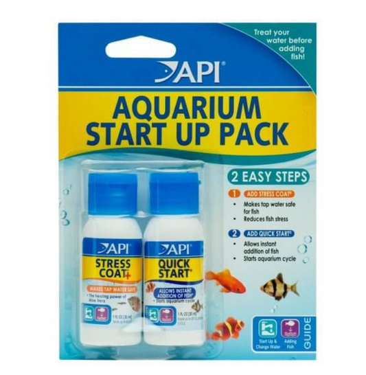 API Start up Kit