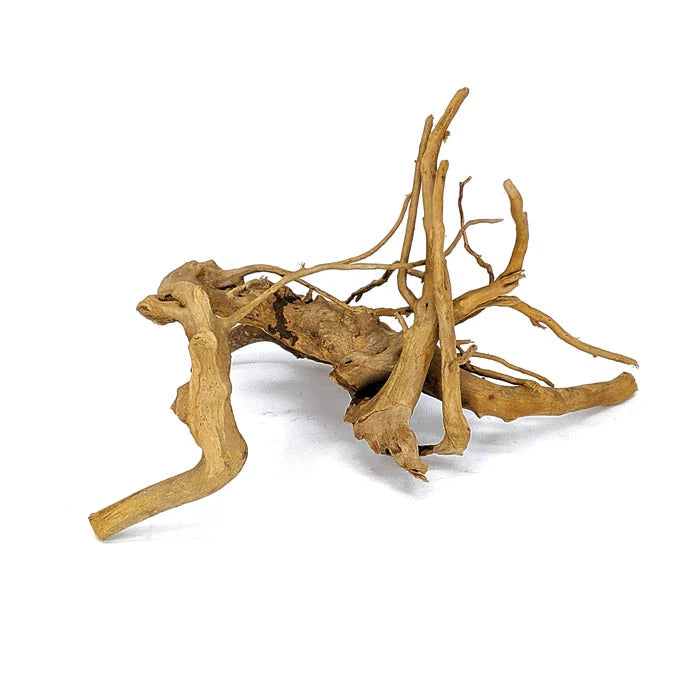 Spider Wood Per 100g