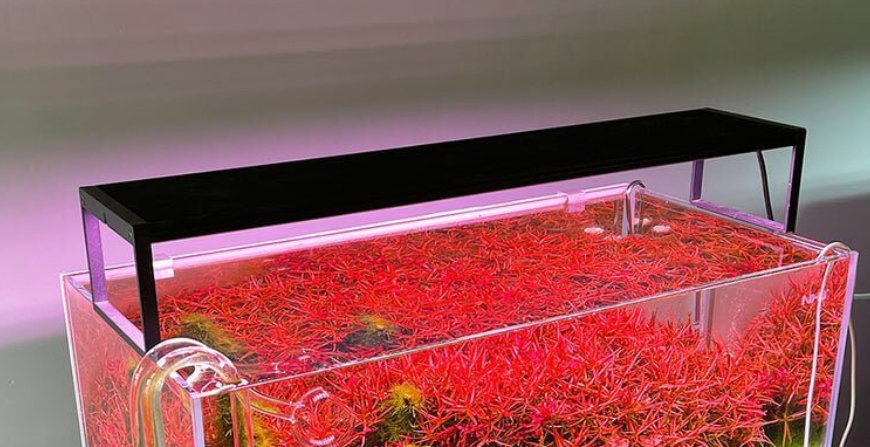 Chihiros WRGB II Slim Series LED light with smart controls