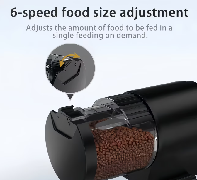 TF - Automating Feeder