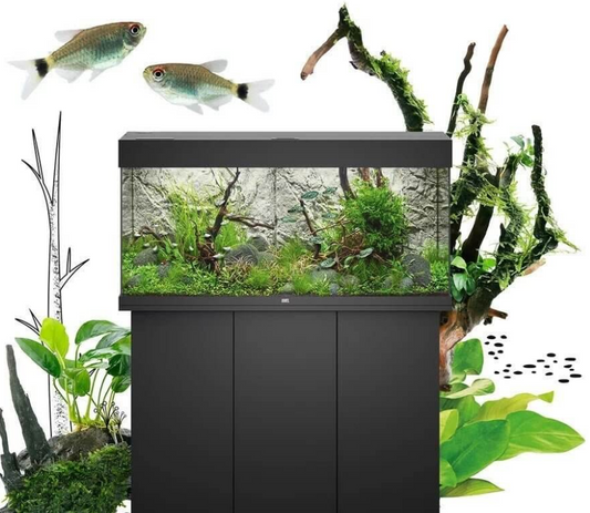 Juwel Rio Aquarium and Cabinets