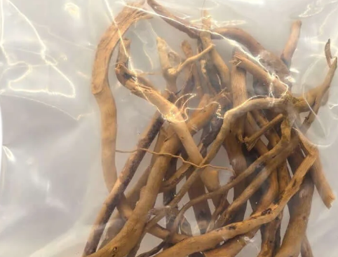 Spider Wood Twigs